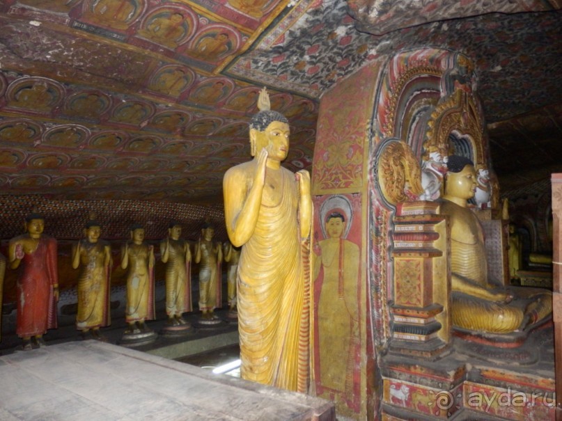 Самостоятельно по Шри Ланке