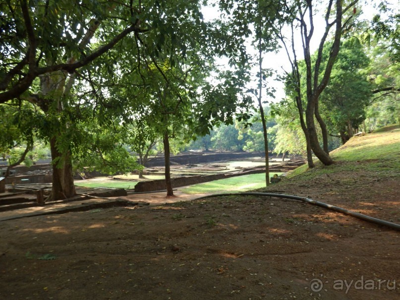 Самостоятельно по Шри Ланке