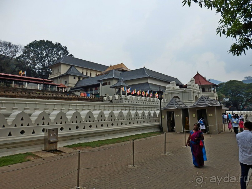 Самостоятельно по Шри Ланке