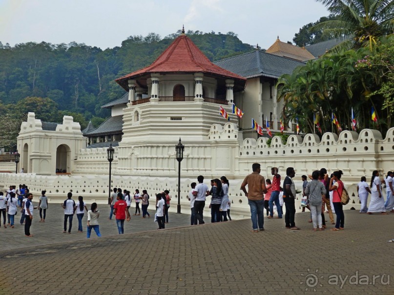 Самостоятельно по Шри Ланке