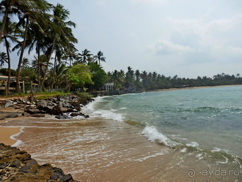 Самостоятельно по Шри Ланке