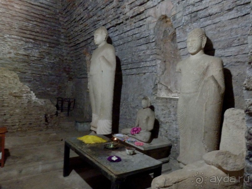 Самостоятельно по Шри Ланке