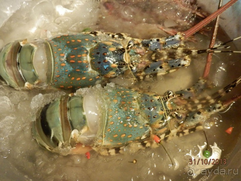 Все,что необходимо для безмятежного,шикарного отдыха!