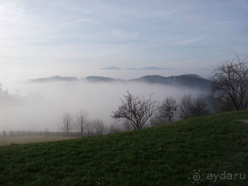 фото Rooms and Apartments Angelina