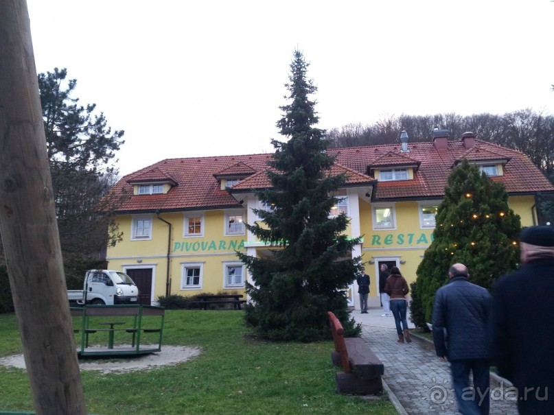 Rooms and Apartments Angelina и лечение в Рогашке Слатине