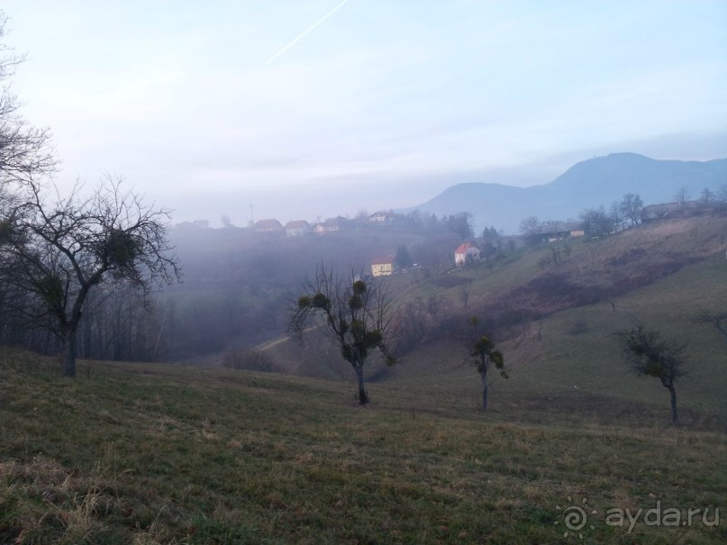 Rooms and Apartments Angelina и лечение в Рогашке Слатине