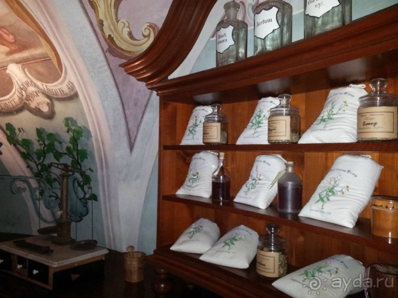 Rooms and Apartments Angelina и лечение в Рогашке Слатине