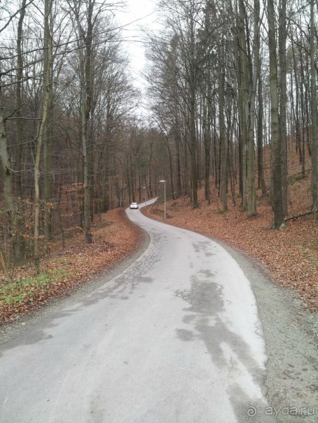 Rooms and Apartments Angelina и лечение в Рогашке Слатине