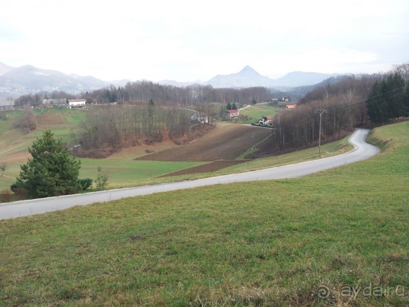 Rooms and Apartments Angelina и лечение в Рогашке Слатине