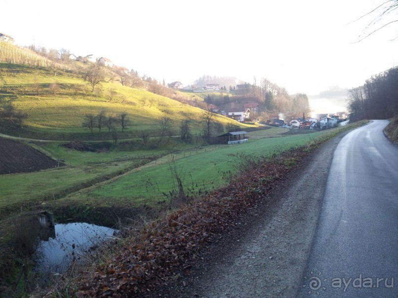 Rooms and Apartments Angelina и лечение в Рогашке Слатине