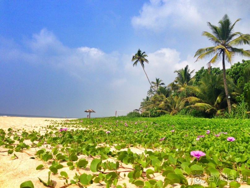 Я счастлива, что провела праздники здесь!