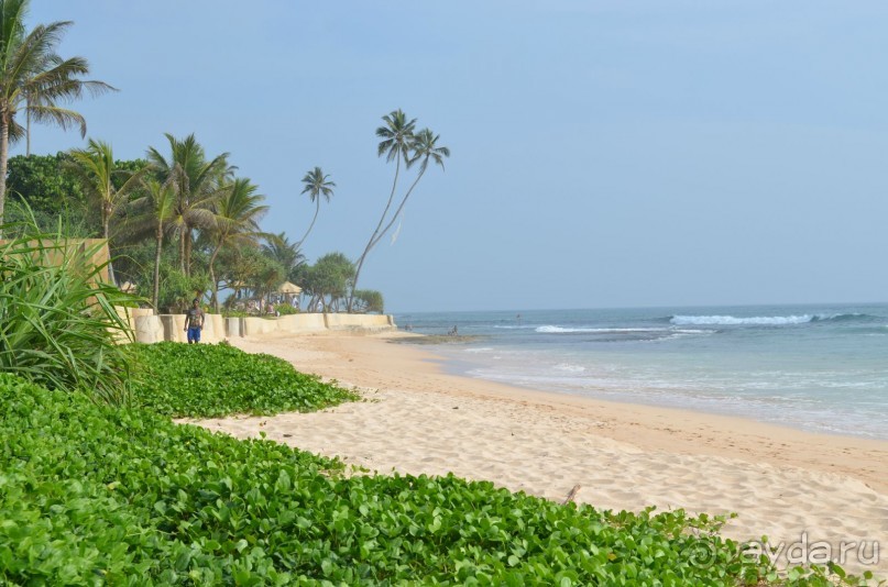 Я счастлива, что провела праздники здесь!