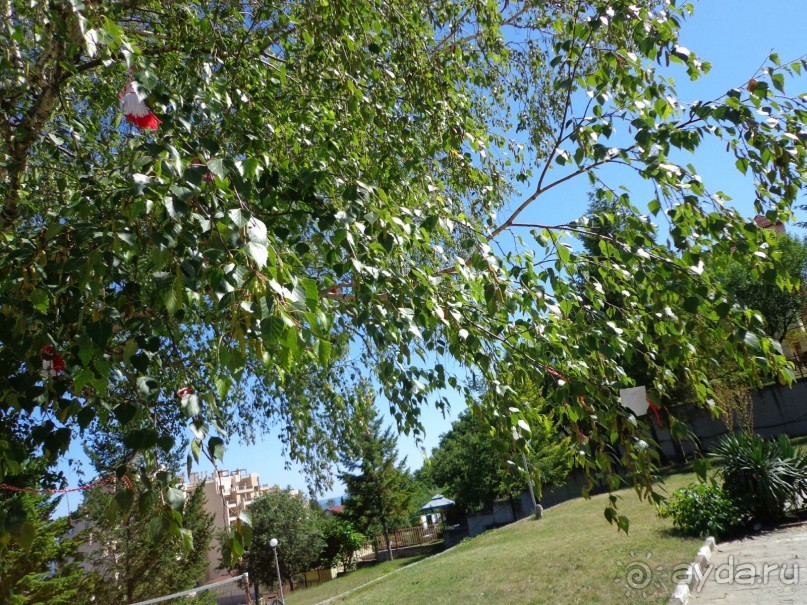 Супер детский лагерь Темида