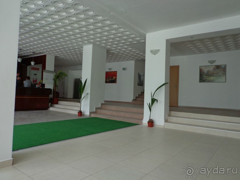 Шикарный отдых в Болгарии лагерь Темида