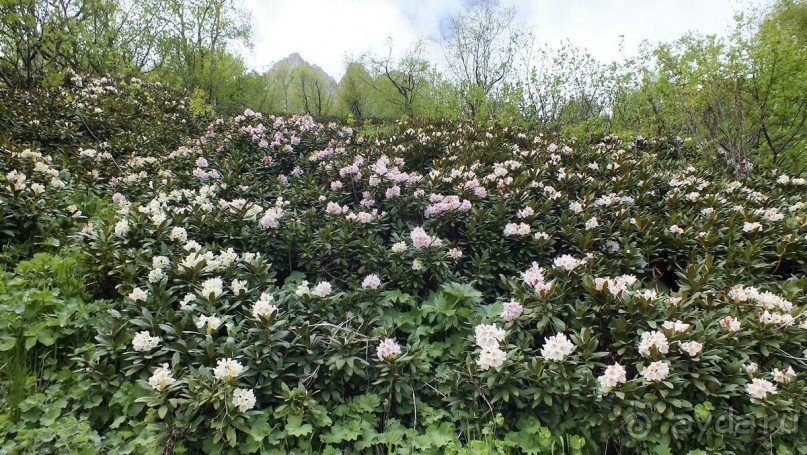 Чертовы Ворота