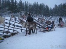 Как провести время в Рованиеми