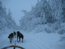Как провести время в Рованиеми