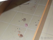 Ни за что и никогда туда еще