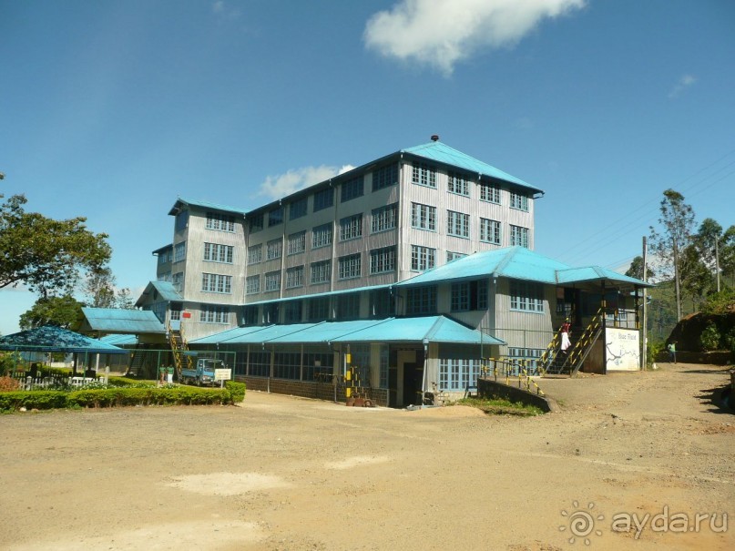 Путешествие по Шри-Ланке