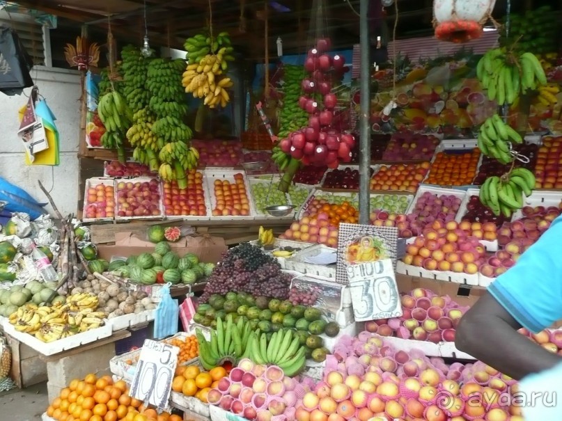 Путешествие по Шри-Ланке