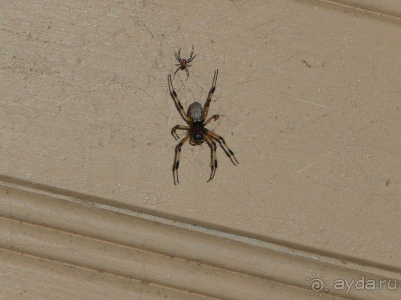 Путешествие по Шри-Ланке