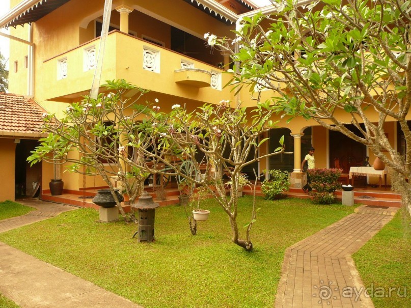 Путешествие по Шри-Ланке