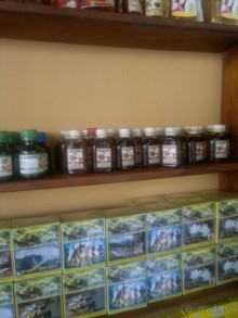 Путешествие по Шри-Ланке