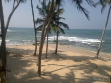 Путешествие по Шри-Ланке