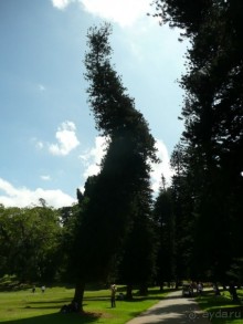 Путешествие по Шри-Ланке