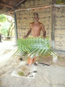 Путешествие по Шри-Ланке