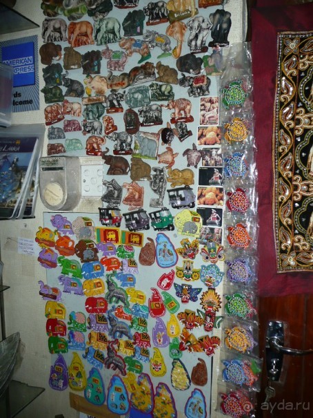 Путешествие по Шри-Ланке