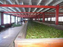 Путешествие по Шри-Ланке