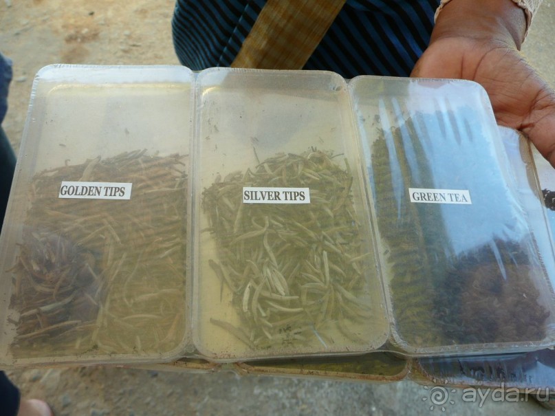 Путешествие по Шри-Ланке