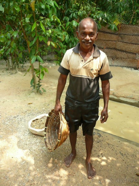 Путешествие по Шри-Ланке