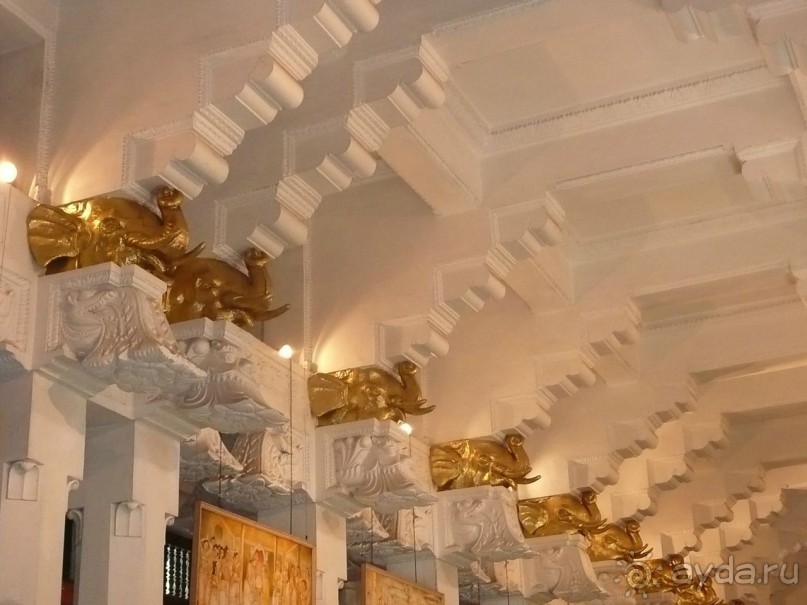 Путешествие по Шри-Ланке