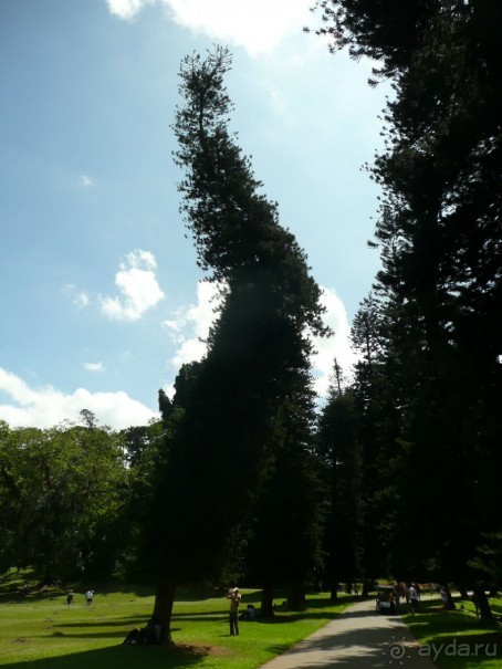 Путешествие по Шри-Ланке