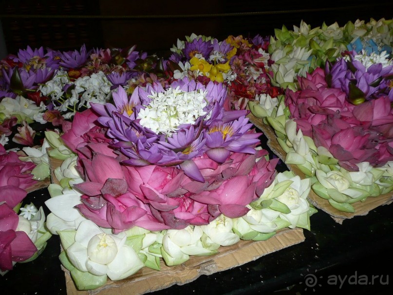 Путешествие по Шри-Ланке