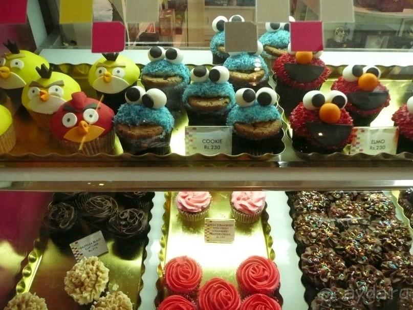 Путешествие по Шри-Ланке