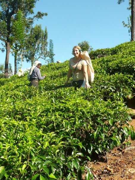 Путешествие по Шри-Ланке