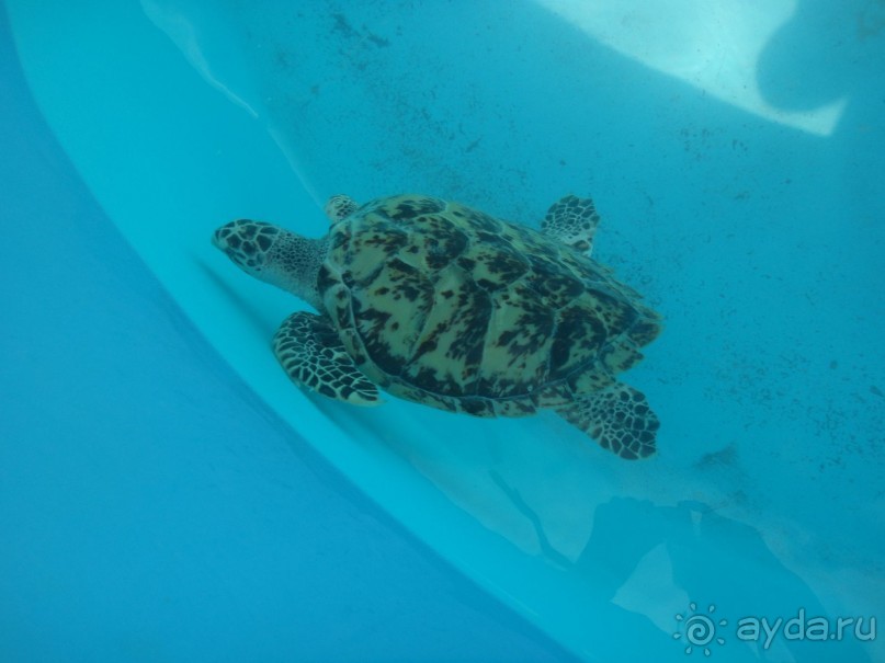 Мексика. Стоит ли лететь?