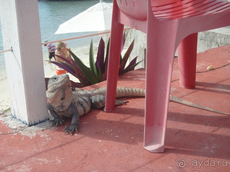 Мексика. Стоит ли лететь?