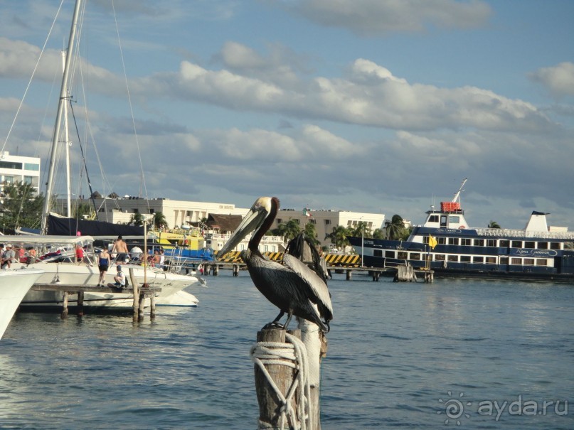 Мексика. Стоит ли лететь?