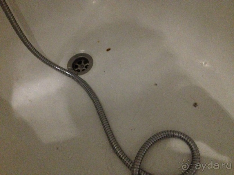 ОТВРАТИТЕЛЬНЕЙШИЙ ОТЕЛЬ,  ПОЛНАЯ АНТИСАНИТАРИЯ