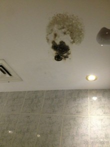 ОТВРАТИТЕЛЬНЕЙШИЙ ОТЕЛЬ,  ПОЛНАЯ АНТИСАНИТАРИЯ