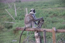 Путешествие в сказку