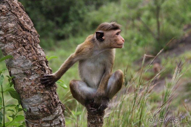 Путешествие в сказку