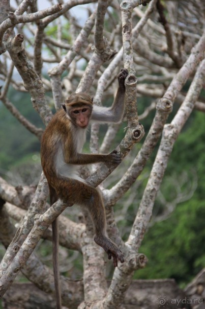 Путешествие в сказку