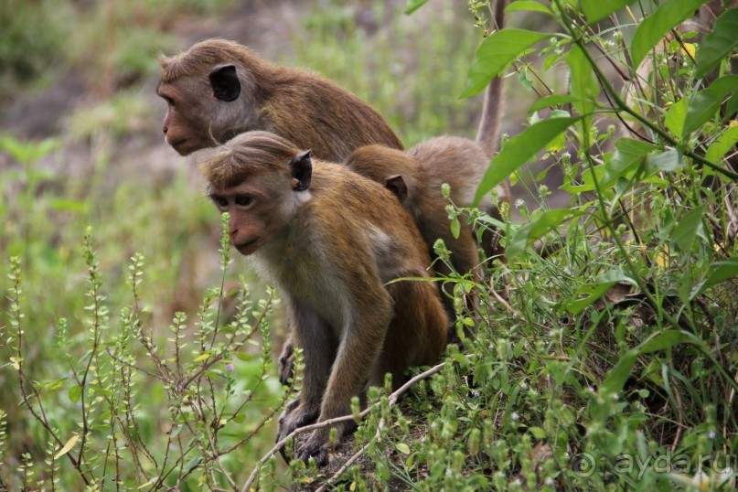 Путешествие в сказку