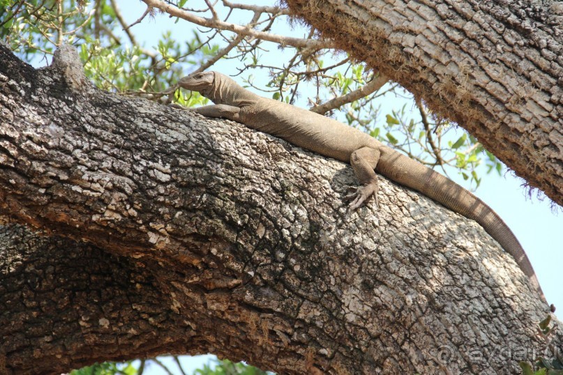 Путешествие в сказку