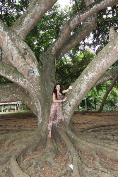 Путешествие в сказку